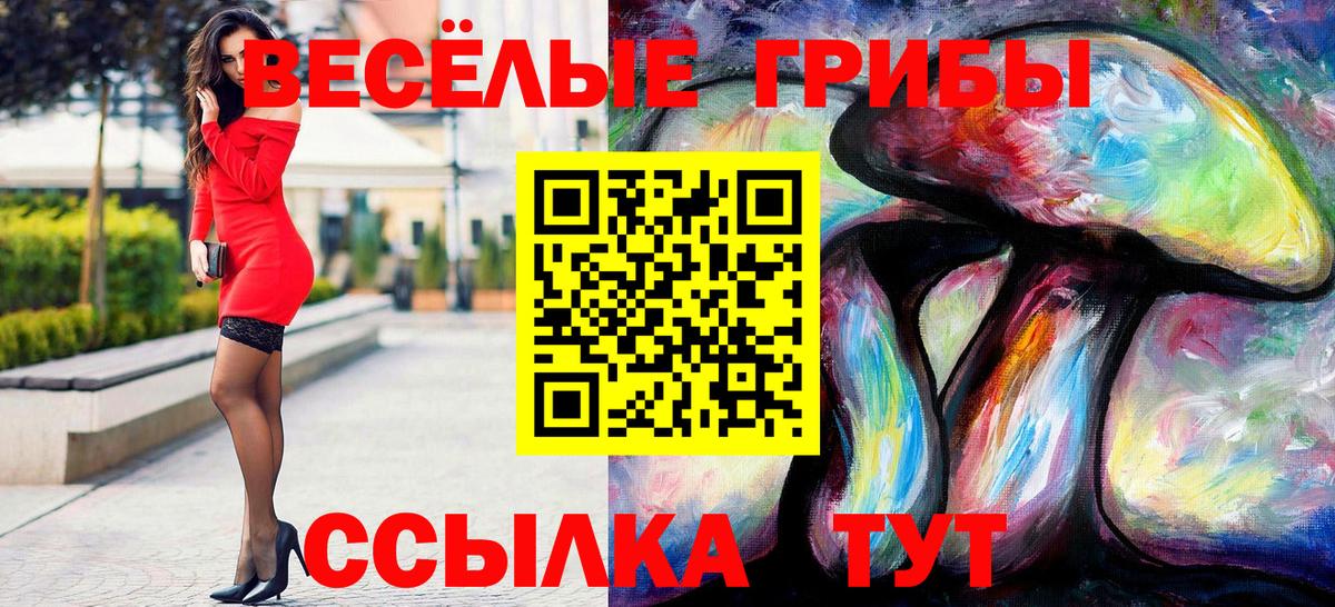 Галлюциногенные грибы Cubensis Астрахань
